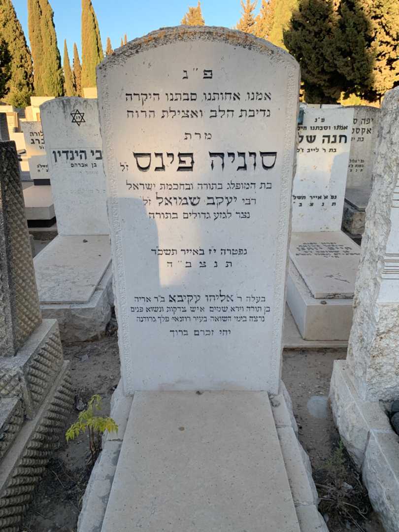 קברו של סוניה פינס