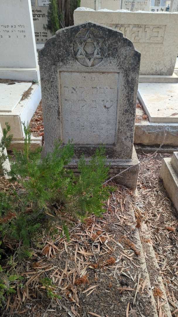 קברו של דובה לאה שנקר