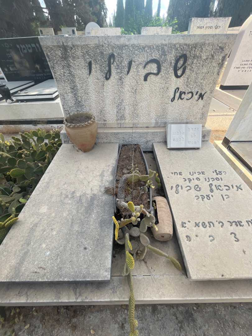 קברו של מיכאל שבילי. תמונה 1