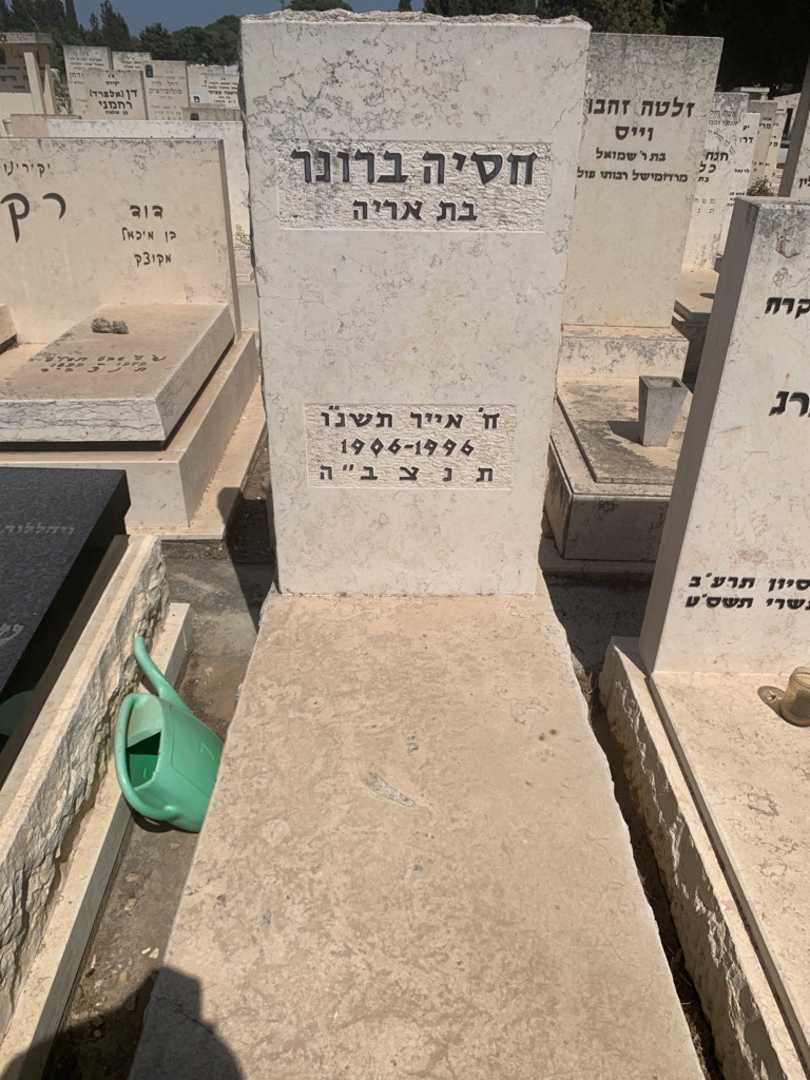 קברו של חסיה ברונר