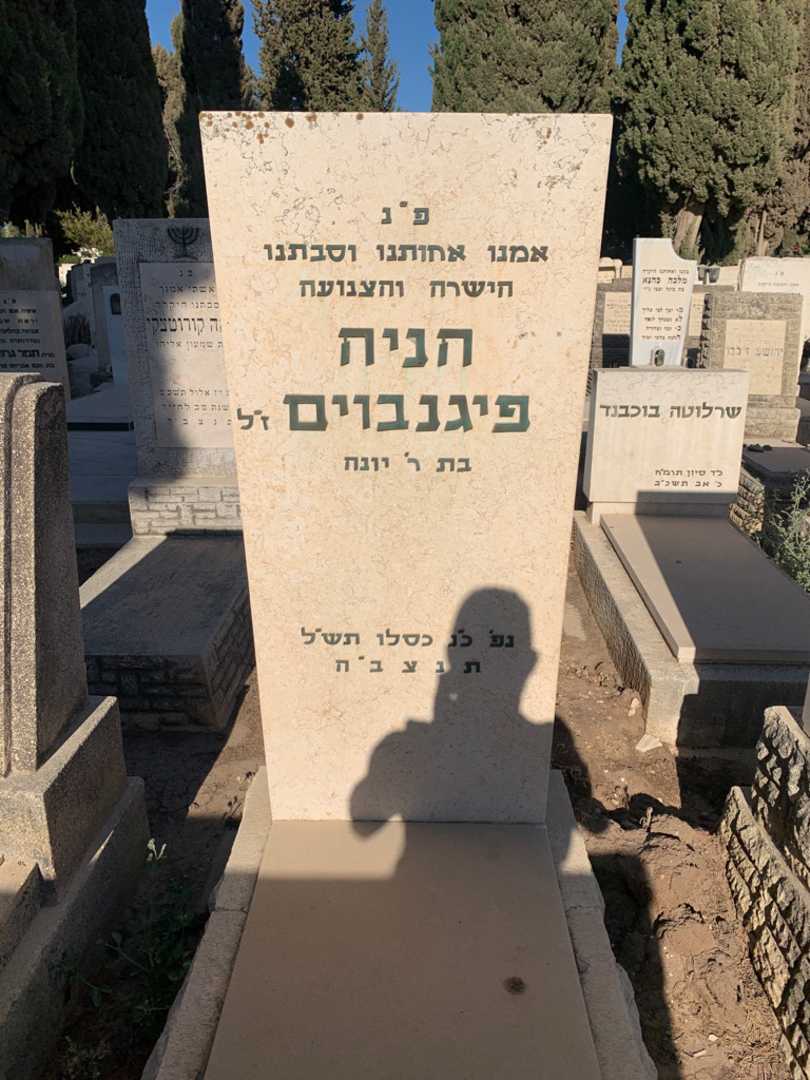 קברו של הניה פיגנבוים