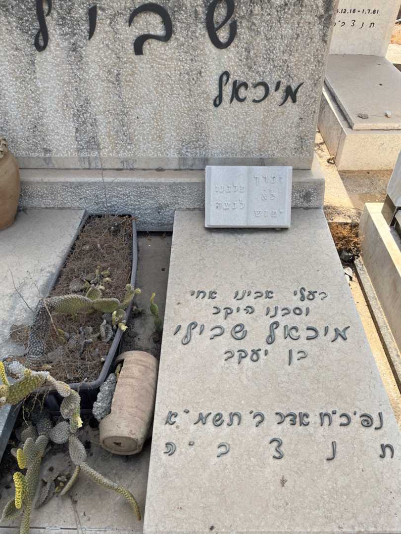 קברו של מיכאל שבילי. תמונה 2