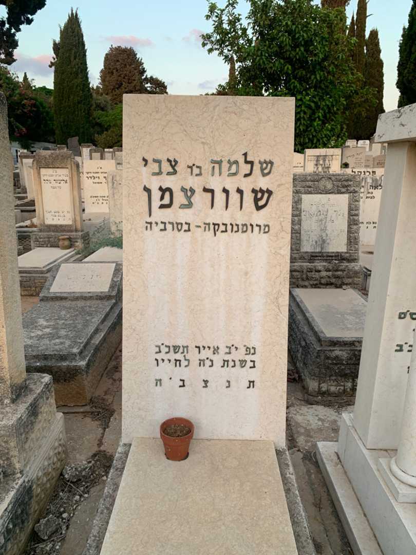 קברו של שלמה שוורצמן