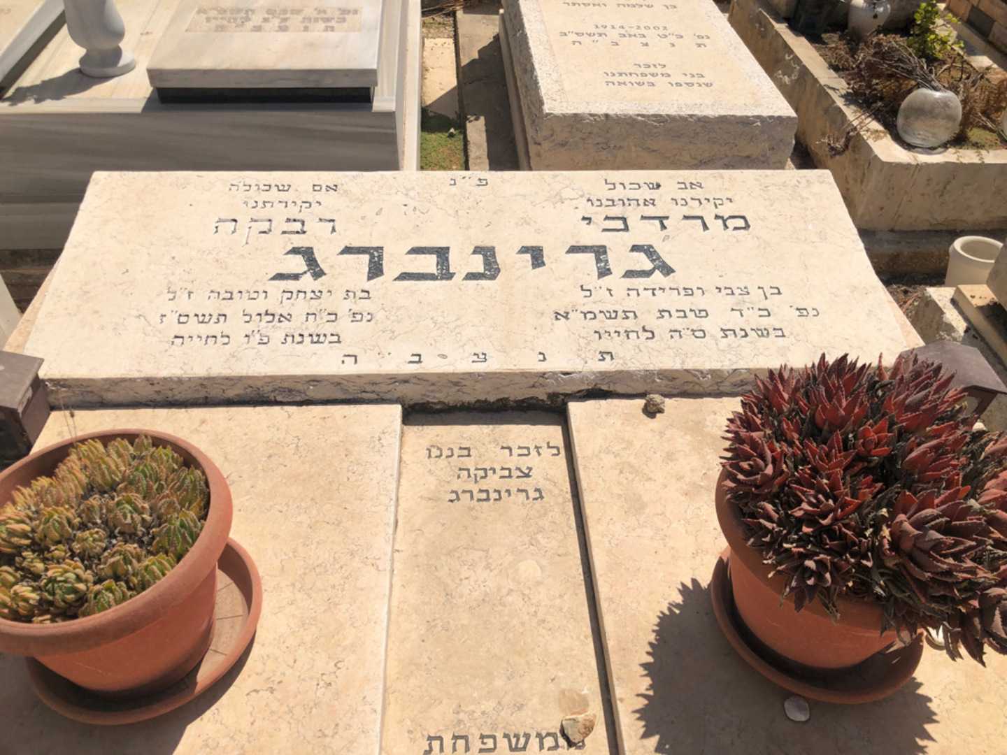 קברו של צביקה גרינברג. תמונה 2