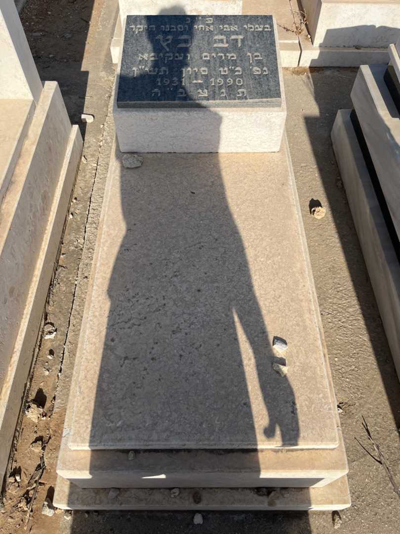 קברו של דב כץ
