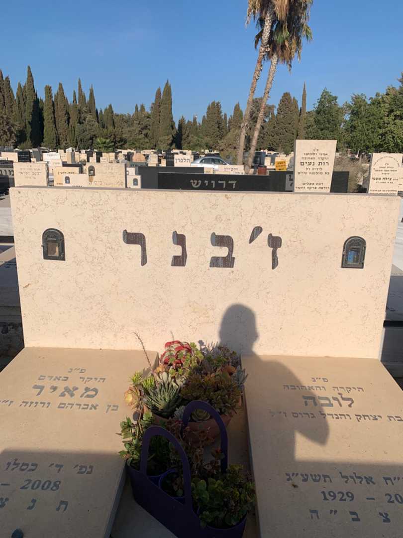 קברו של מאיר ז'בנר. תמונה 1
