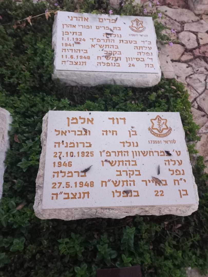 קברו של דוד אלמן