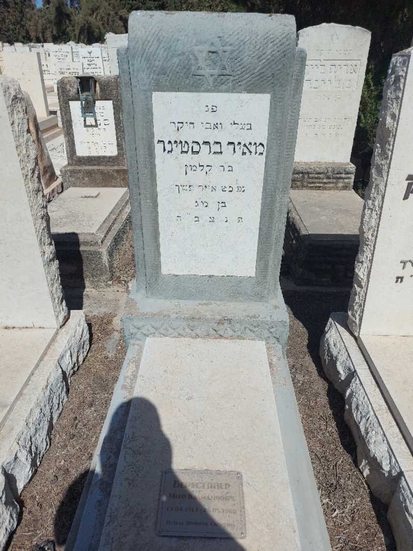 קברו של מאיר ברסטניר