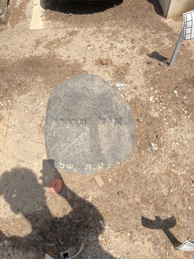 קברו של איל תמרי