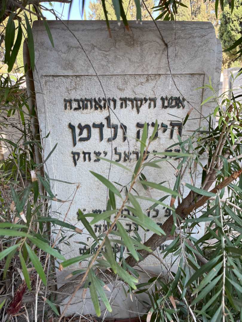 קברו של אשר ולדמן. תמונה 2