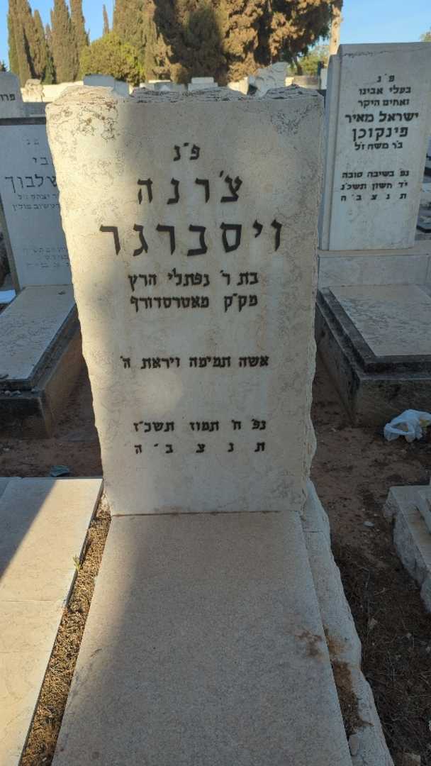 קברו של צ'רנה ויסברגר. תמונה 1