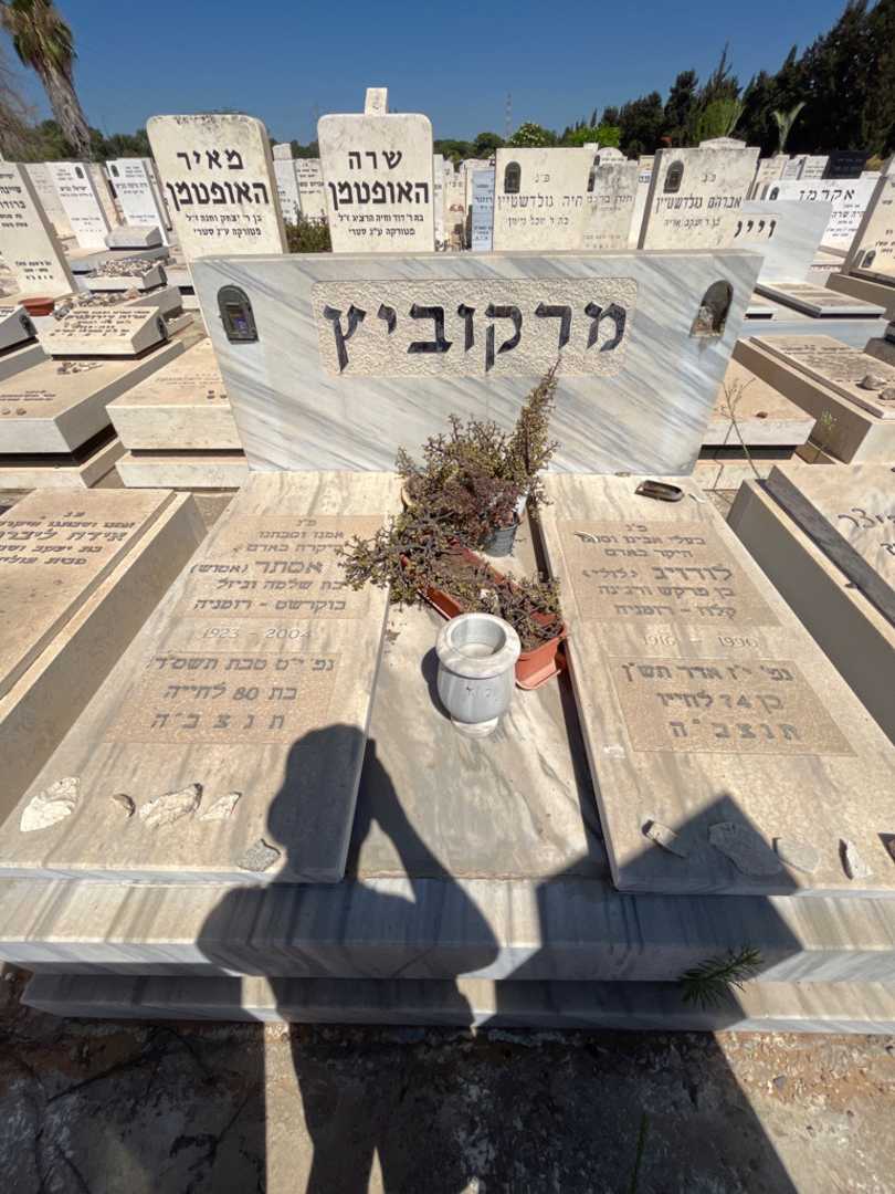 קברו של לודויג "לולי" מרקוביץ. תמונה 1