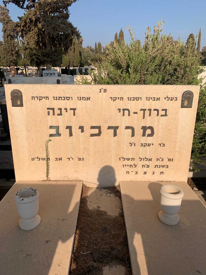 קברו של דינה מרדכיוב. תמונה 1