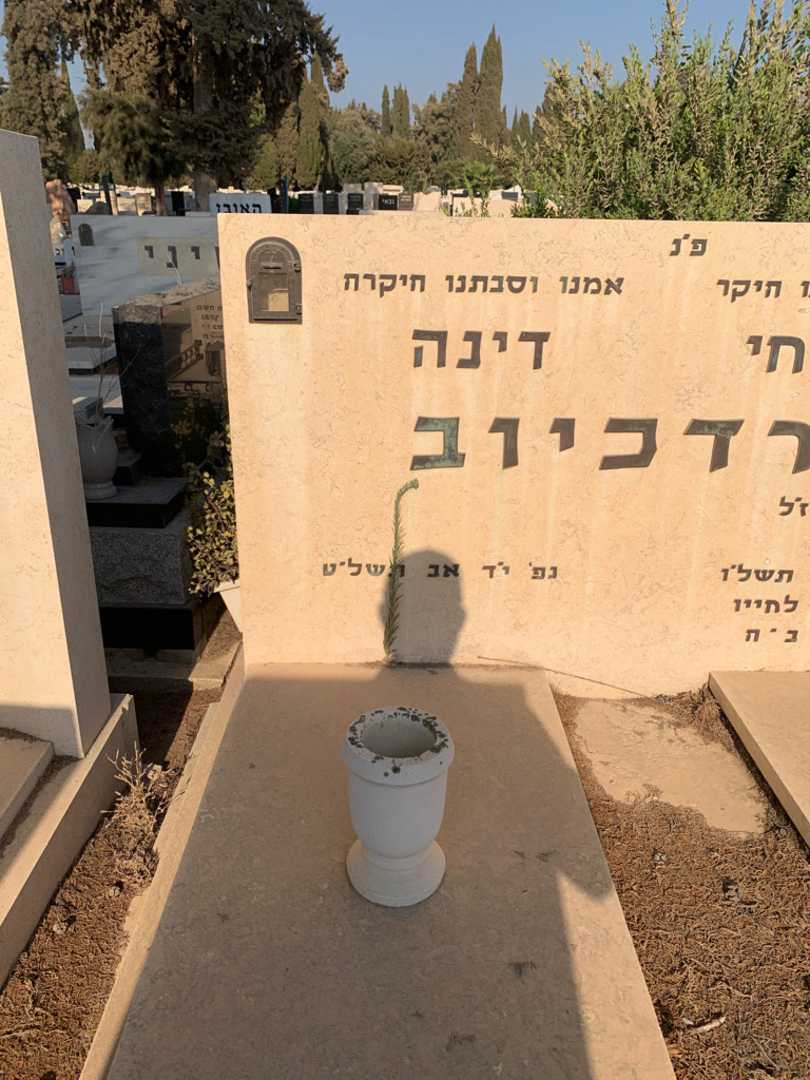 קברו של דינה מרדכיוב. תמונה 2