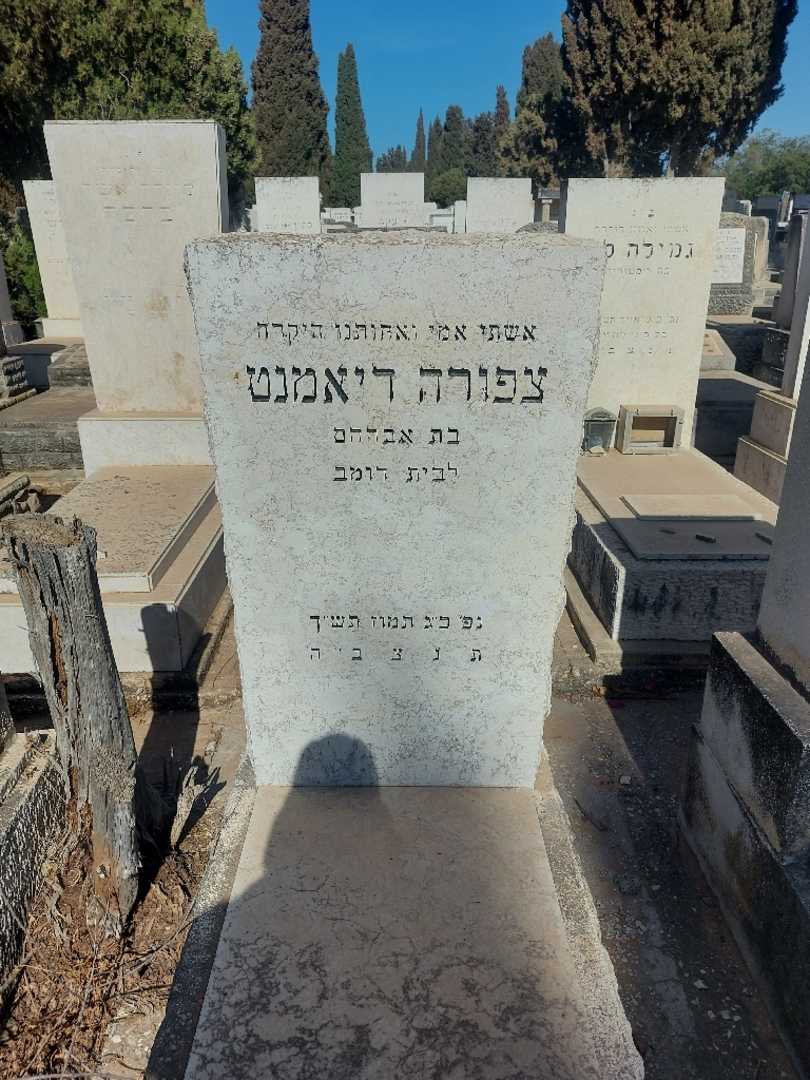 קברו של צפורה ריאמנט