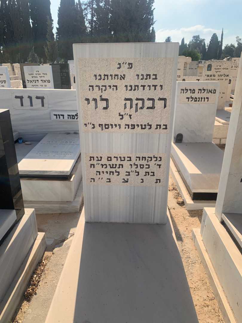 קברו של רבקה לוי. תמונה 1