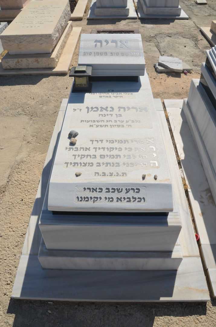 קברו של אריה נאמן