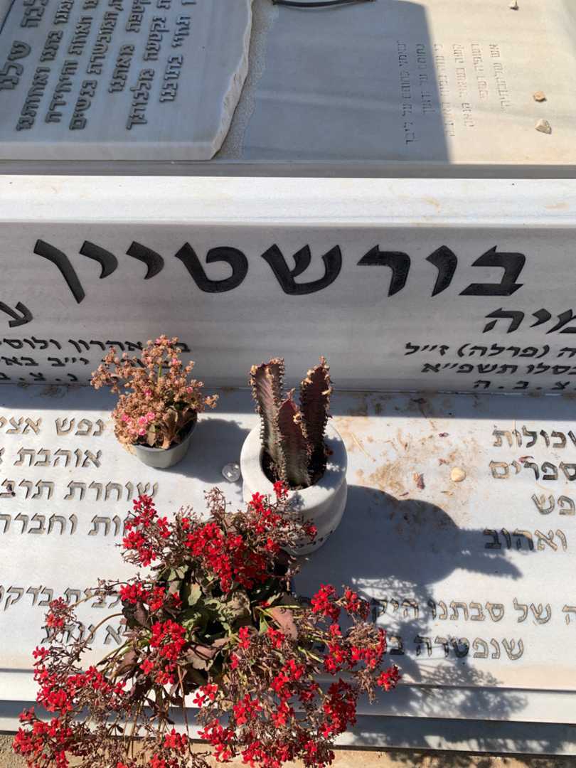 קברו של נחמיה "פרלה" בורשטיין. תמונה 5