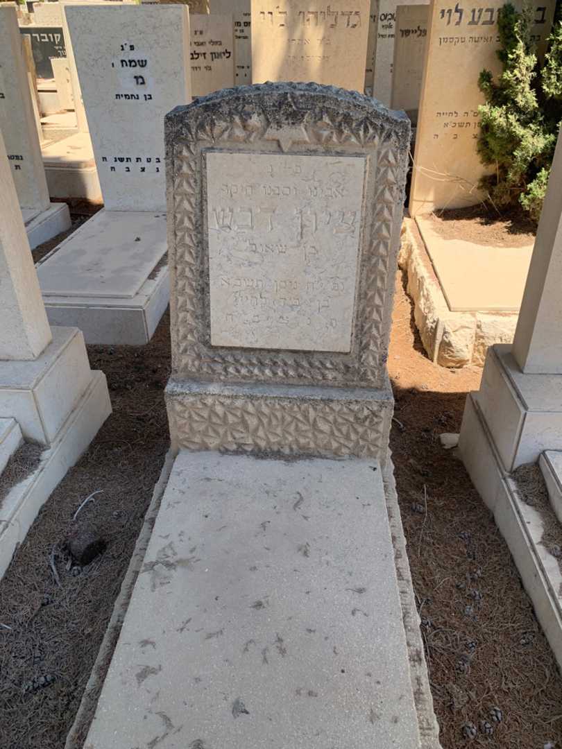 קברו של ציון דבש. תמונה 1