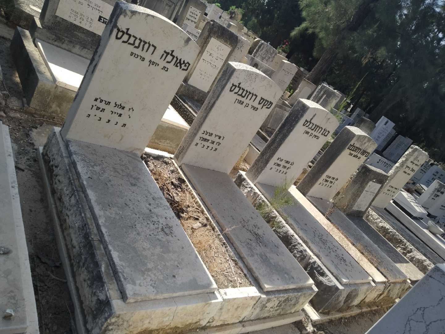 קברו של מקס רוזנבלט. תמונה 2