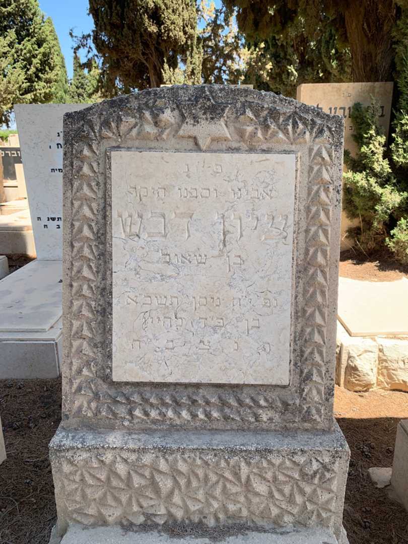 קברו של ציון דבש. תמונה 2