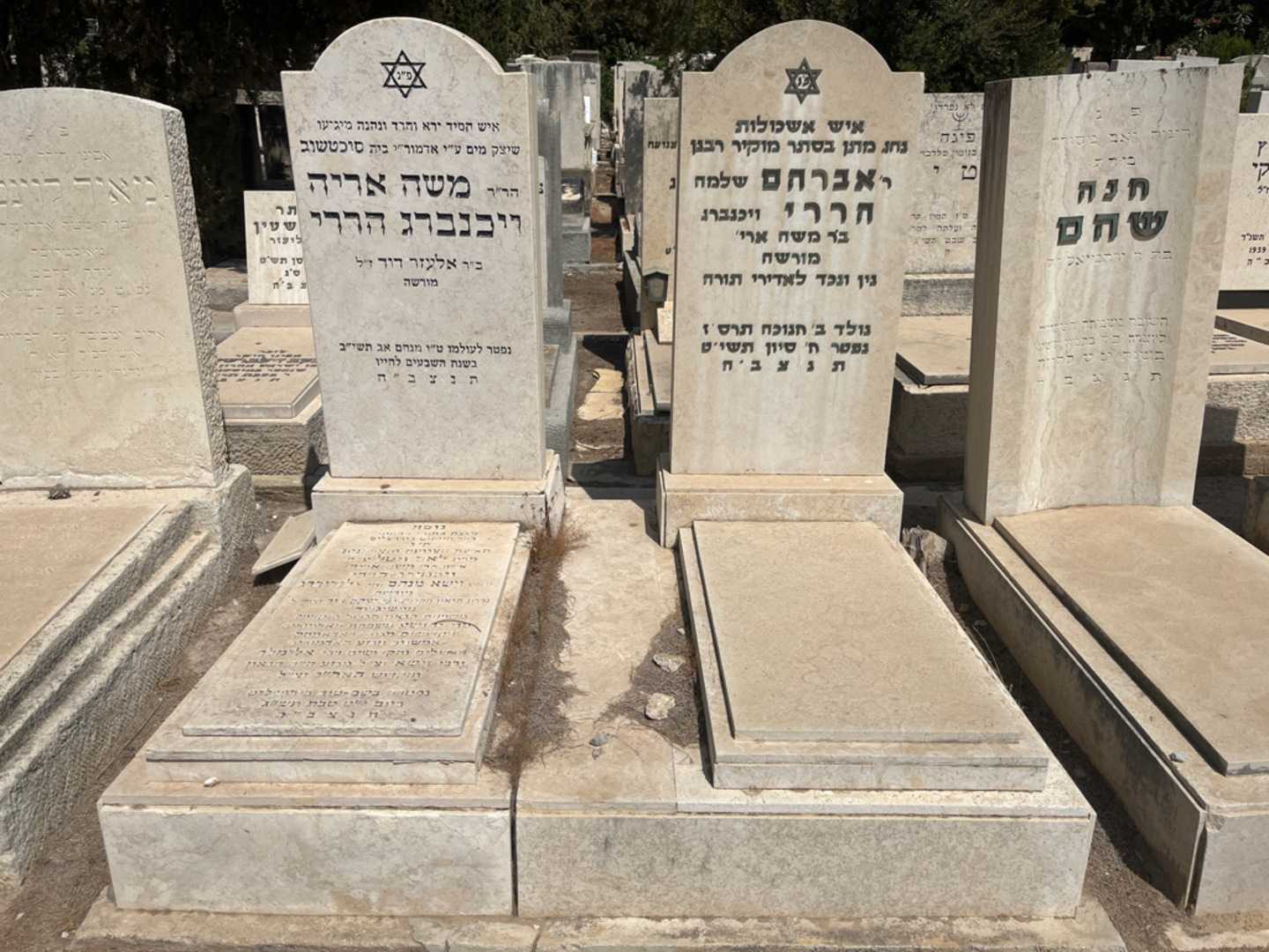 קברו של אברהם "שלמה ויכנברג" הררי. תמונה 2
