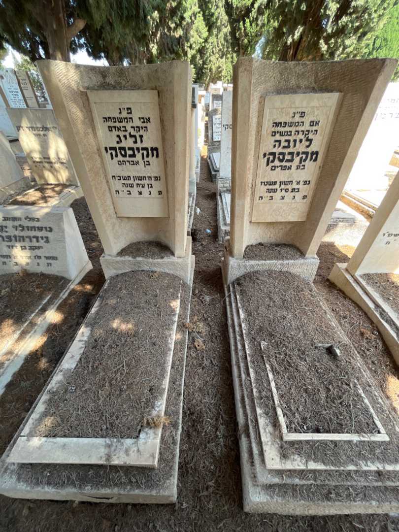 קברו של זליג מקיבסקי. תמונה 1