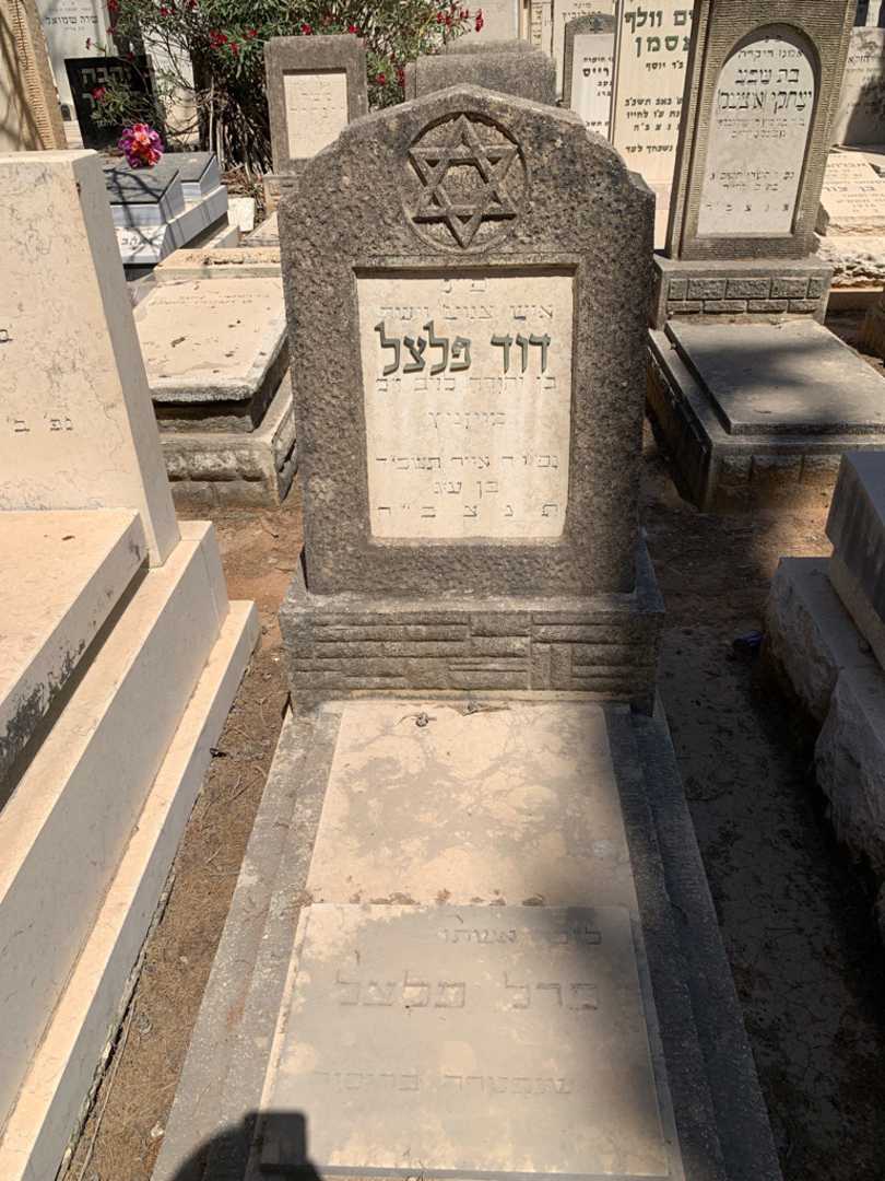קברו של דוד פלצל. תמונה 1