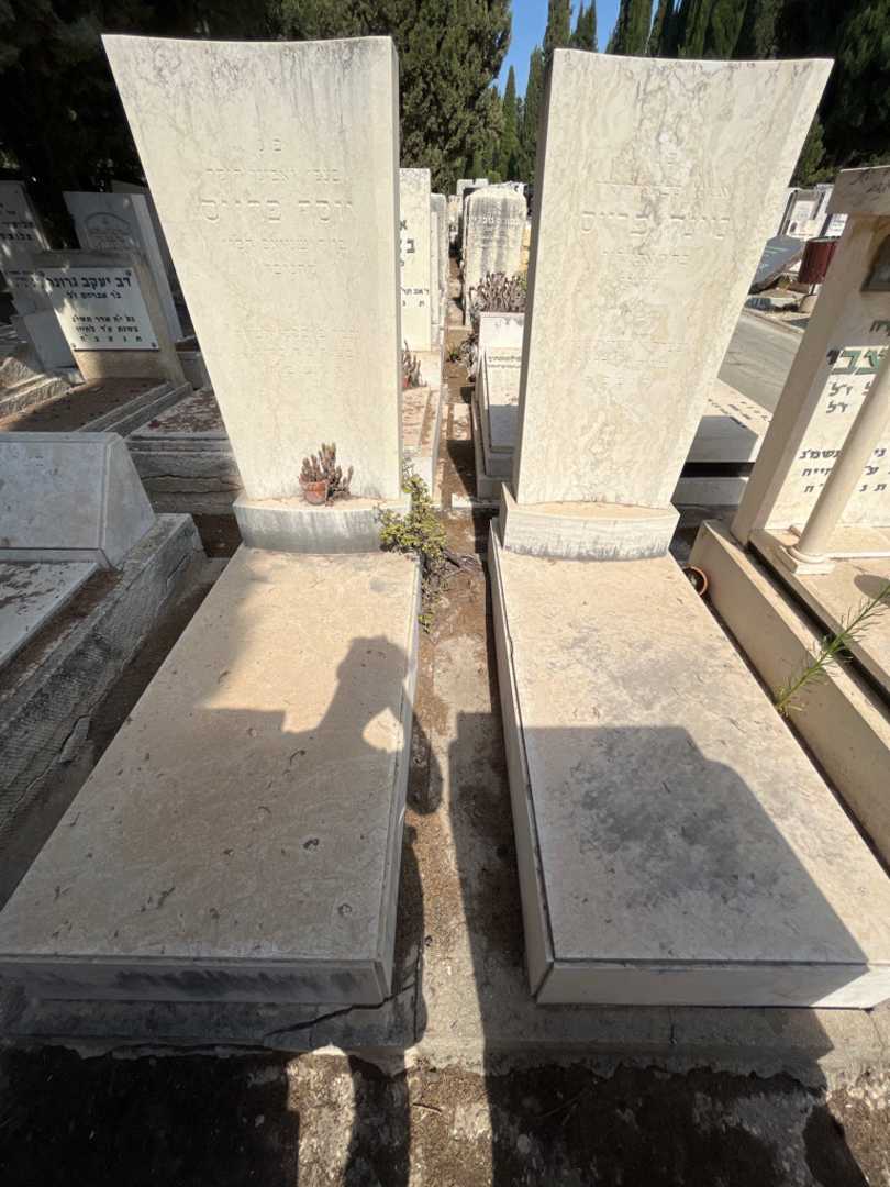 קברו של מינה פרייס. תמונה 2
