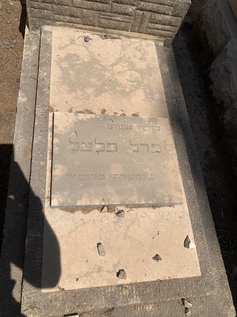 קברו של דוד פלצל. תמונה 2