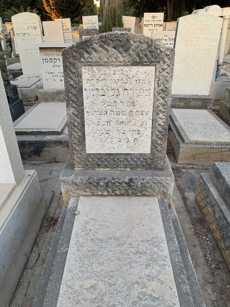 קברו של צפורה גלוברמן