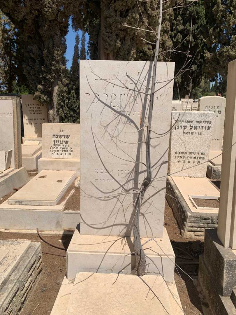 קברו של לוטה שטיינברכר. תמונה 1