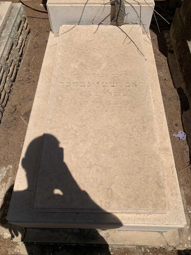 קברו של לוטה שטיינברכר. תמונה 2