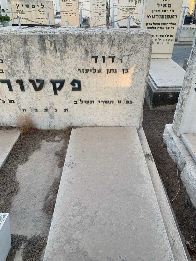 קברו של דוד פקטור. תמונה 2