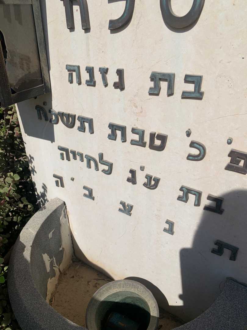 קברו של רימה דבורה סלח. תמונה 2