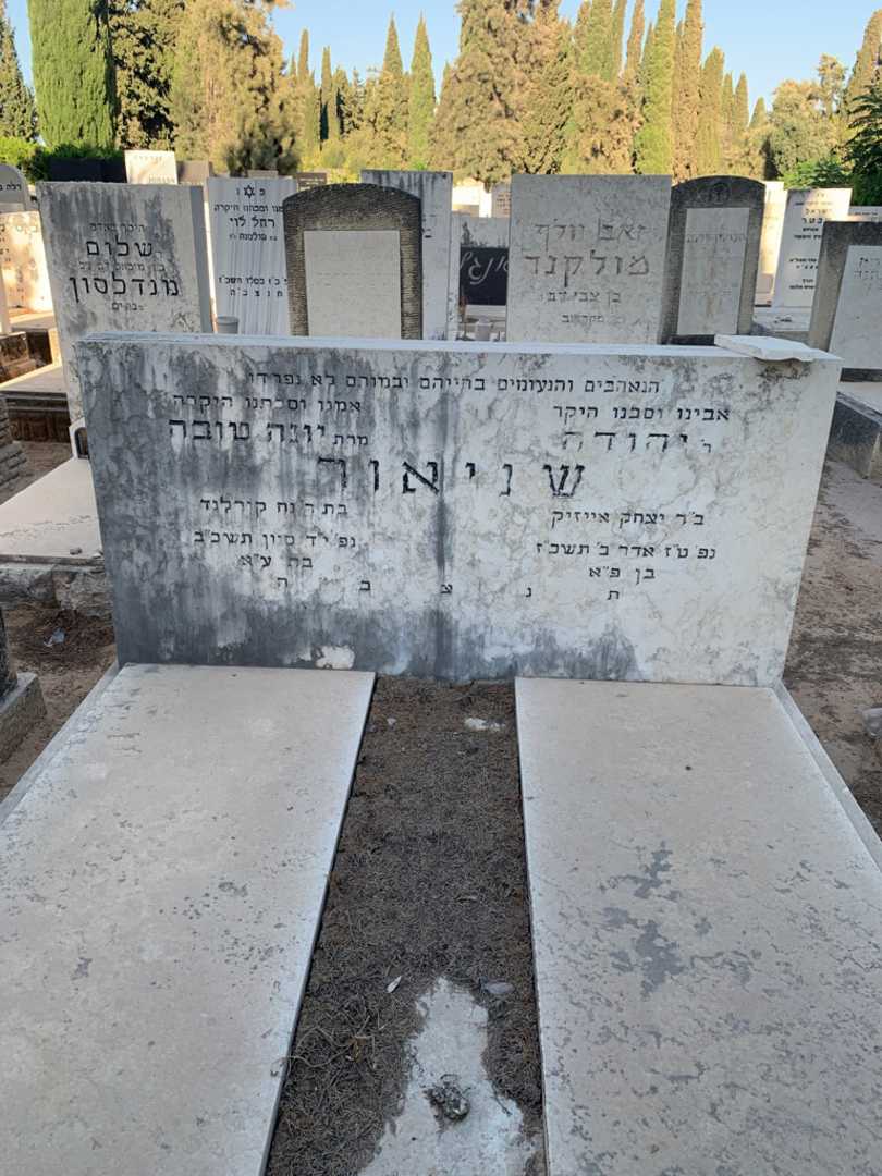 קברו של יהודה שניאור. תמונה 1