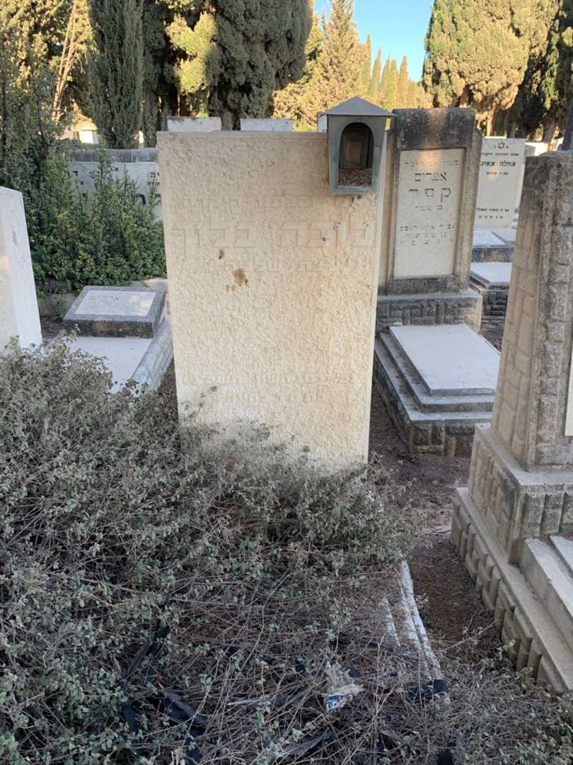 קברו של לובה בלוך