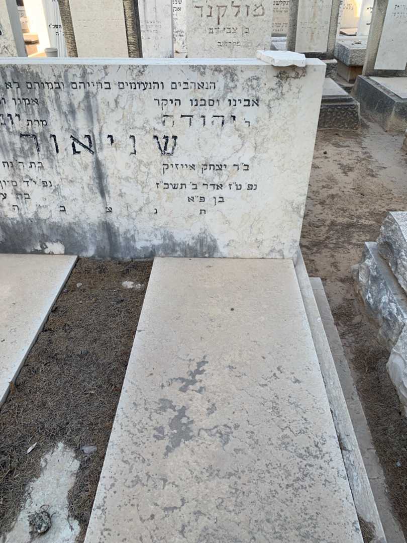 קברו של יהודה שניאור. תמונה 2