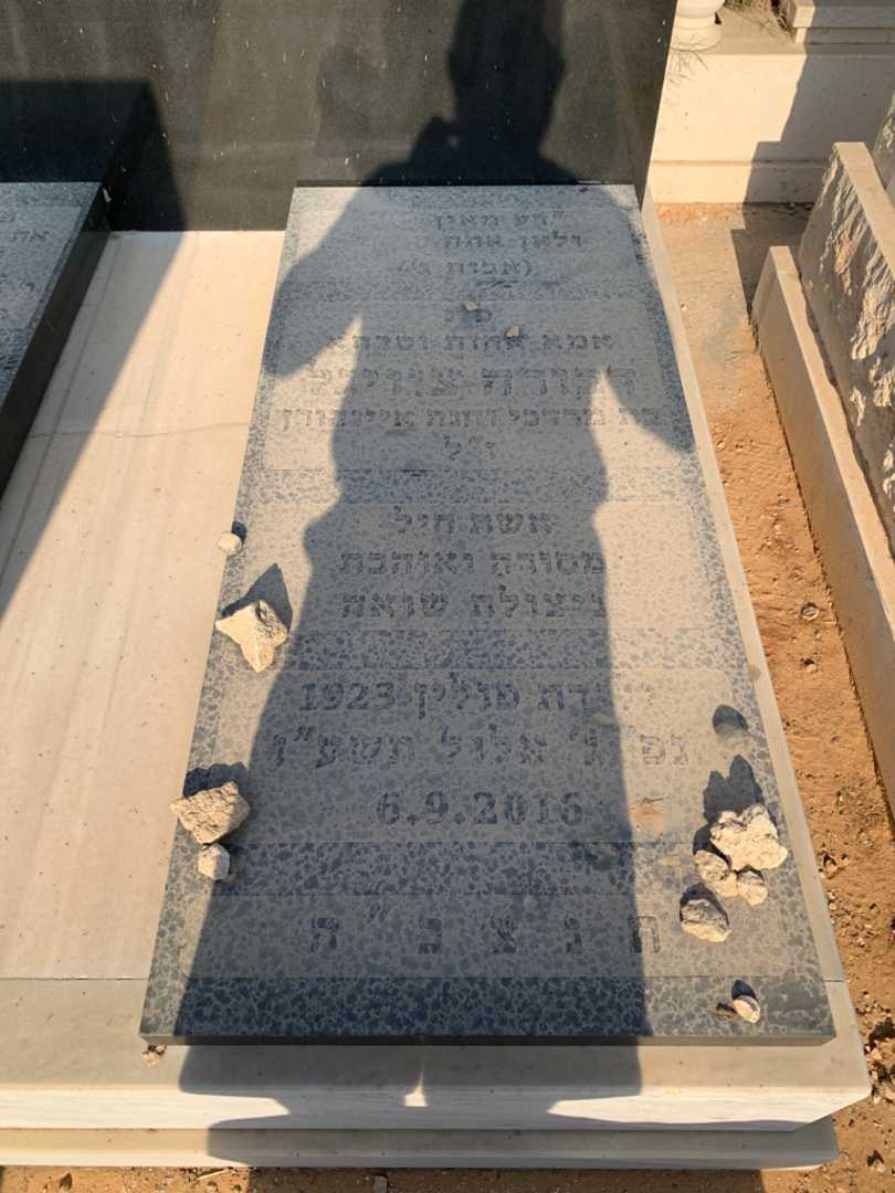 קברו של דבורה צוויגל איינהורן. תמונה 2