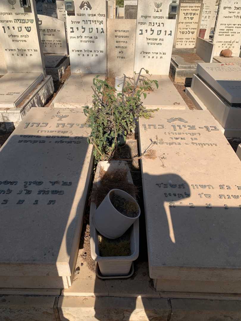 קברו של אידה כהן. תמונה 1
