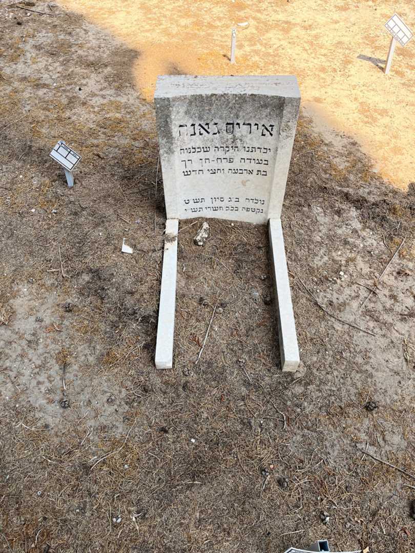 קברו של איריס גאנה