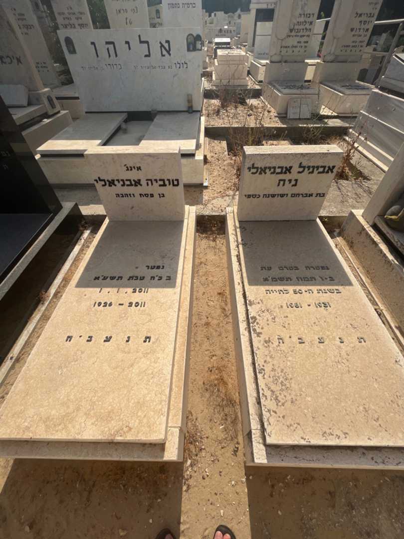 קברו של טוביה אבניאלי. תמונה 1