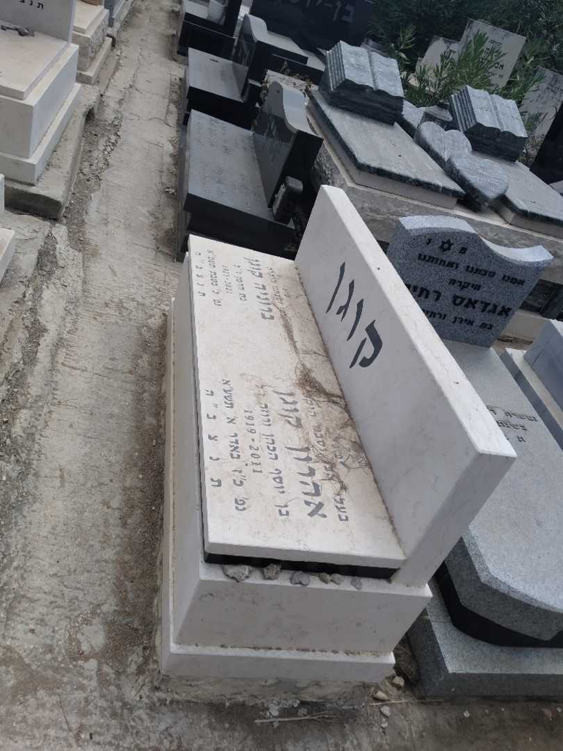 קברו של אהרון קוגן