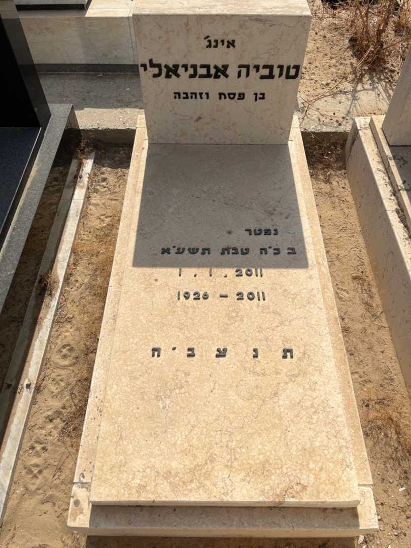 קברו של טוביה אבניאלי. תמונה 2