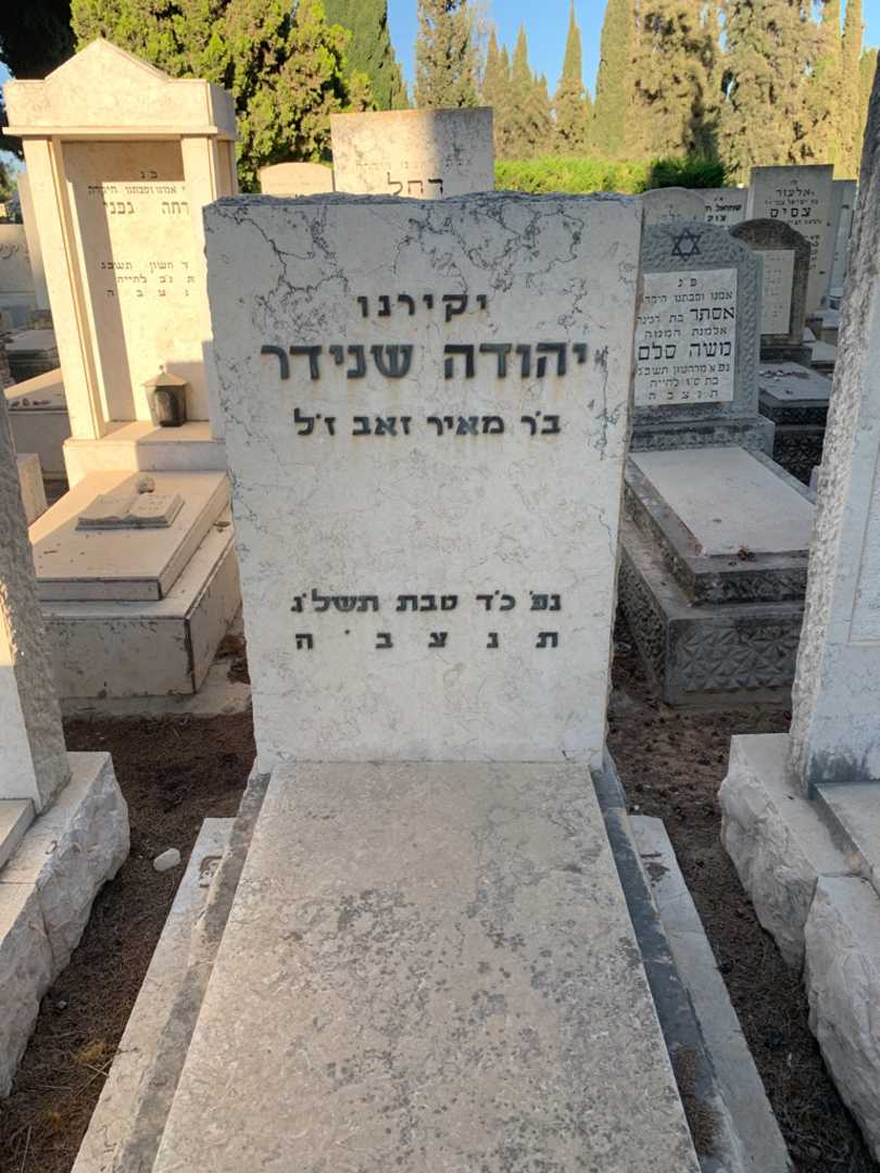 קברו של יהודה שנידר