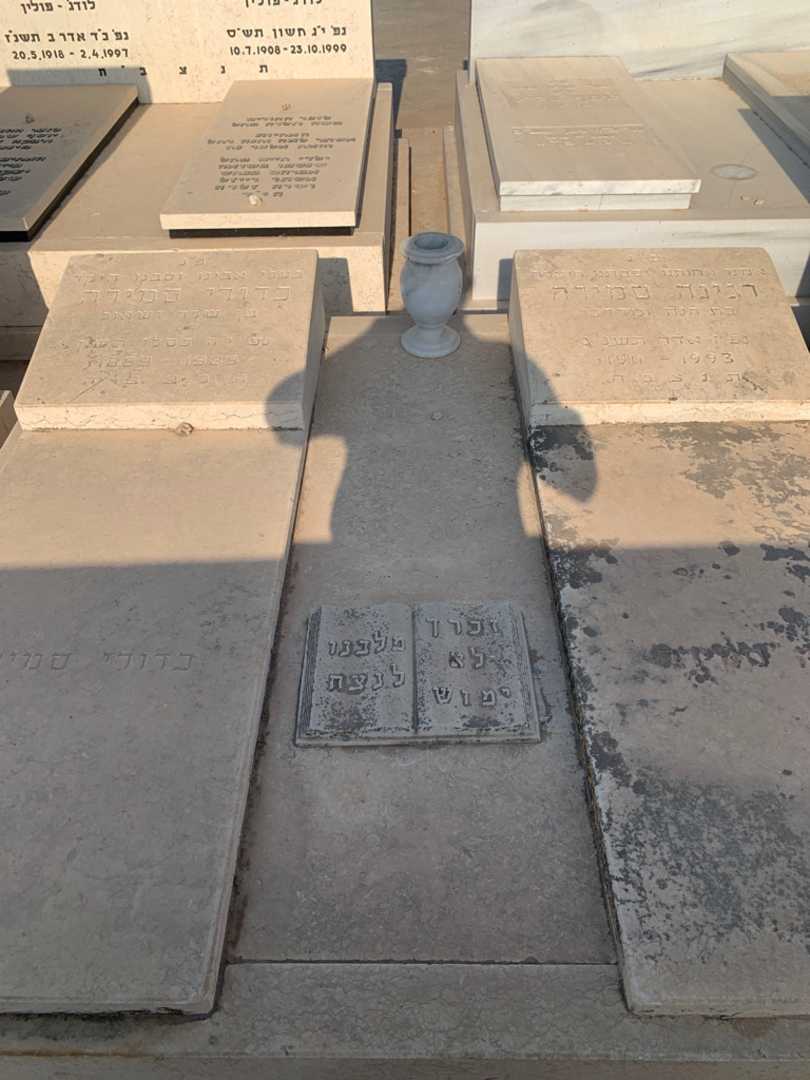 קברו של כדורי סמירה. תמונה 1