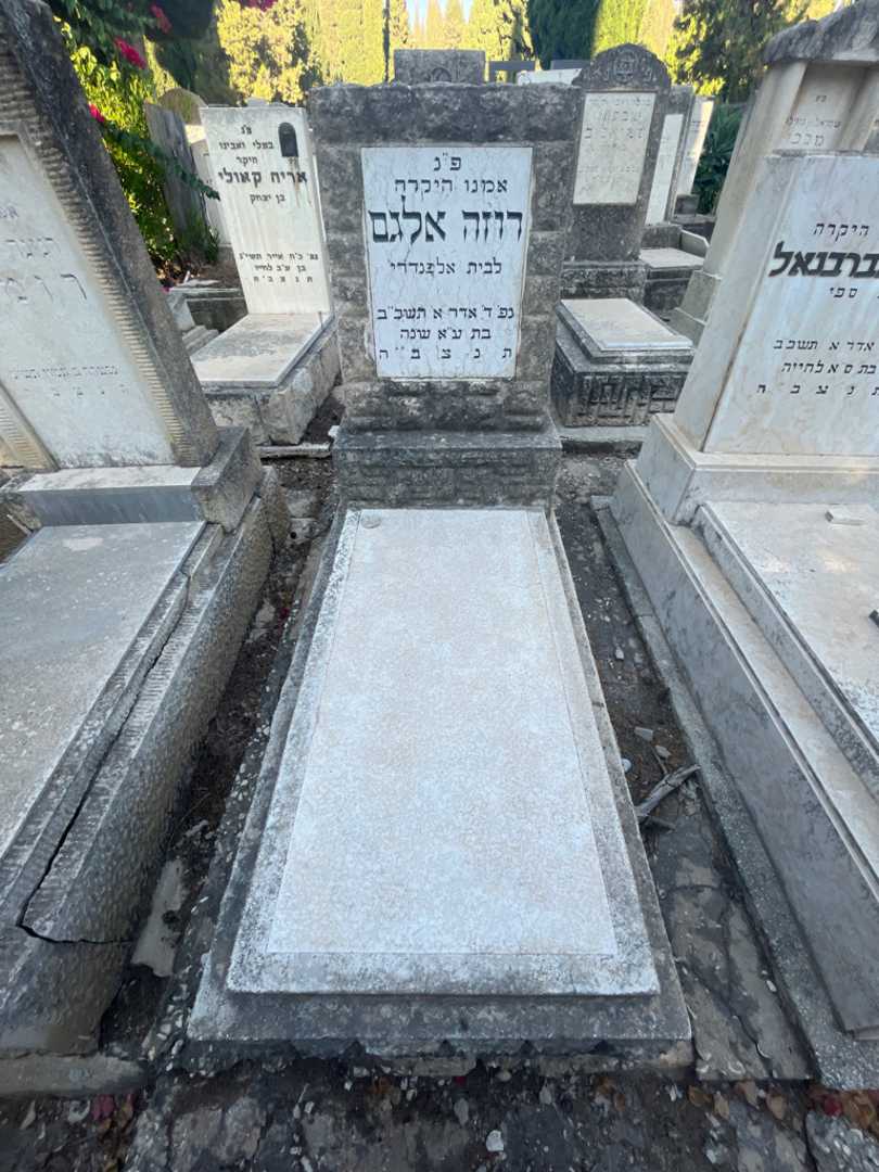 קברו של רוזה אלגם