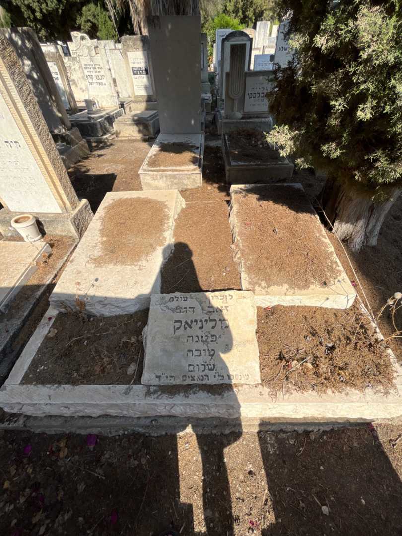 קברו של טובה מליניק. תמונה 1