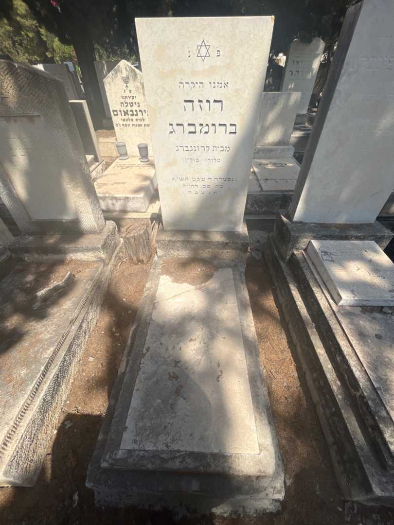 קברו של רוזה ברומברג קרוננברג