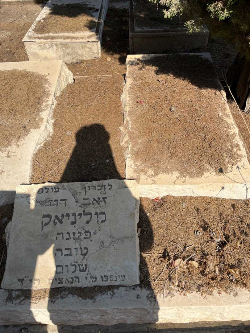 קברו של זהב דוד מליניק. תמונה 2